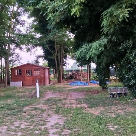 Casetta Di Laura Пиза Екстериор снимка